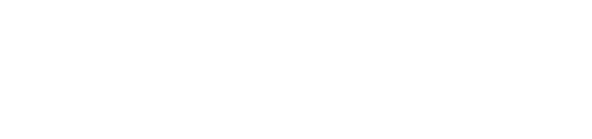 FULLight